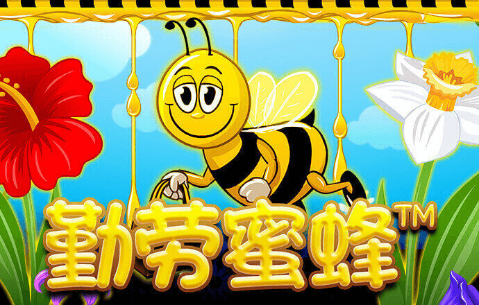 乐球直播app下载官网最新版苹果